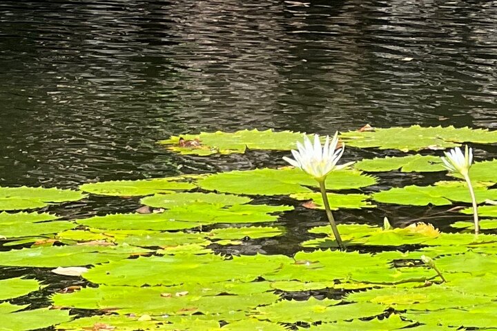 Paddle Boarding and Meditation Wellness Experience in Las Isletas