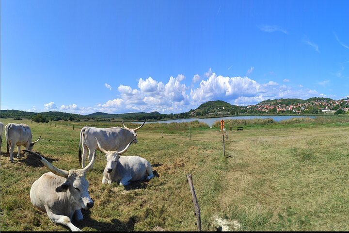 Private tour from Budapest to a top hidden treasure region of Europe: Lake Balaton