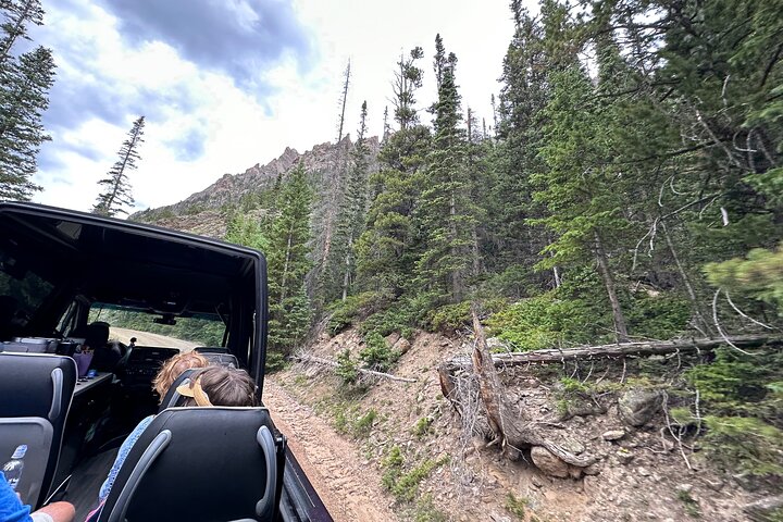 Retractable Glass Top Tour in Rocky Mountain National Park