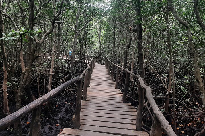 Jozani Forest, Kuza Cave, Paje Beach and The Rock Restaurant