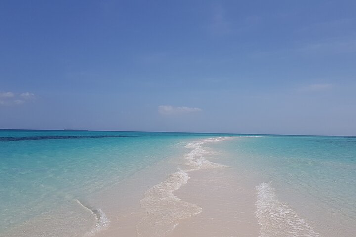 Jozani Forest, Kuza Cave, Paje Beach and The Rock Restaurant