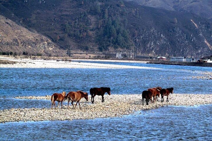 6-Day Megical Mechuka -Arunachal Pradesh Private Transport