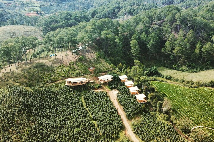Coffee Farm Tour with Roasting & Tasting Workshop - Da Lat