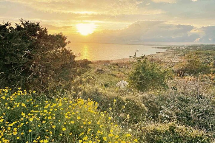 From Larnaca - Cape Greko, Sea Caves, Bridge of Love (Group of 5)