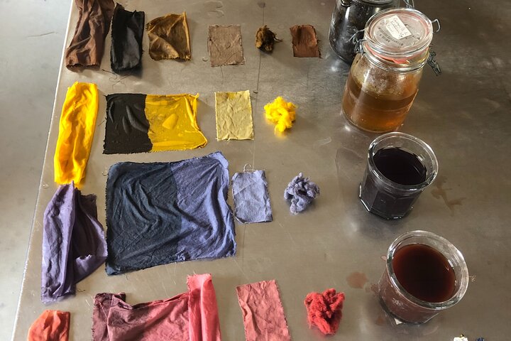 Private Introduction to plant color in Forcalquier in Provence