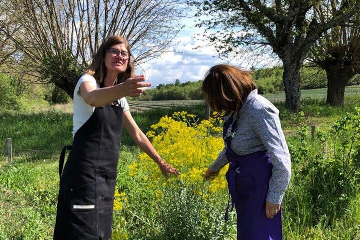 Private Introduction to plant color in Forcalquier in Provence