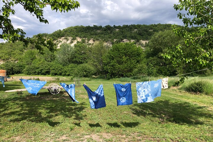 Private Introduction to plant color in Forcalquier in Provence