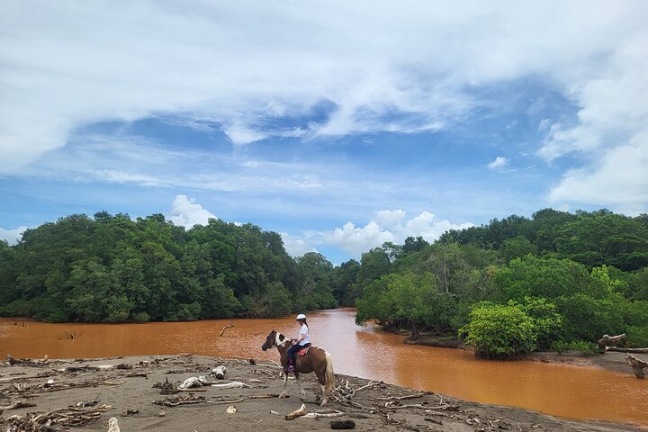Jungle and Beach Horseback Riding Tour - 2H 1/2