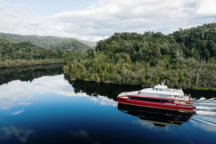 Morning World Heritage Cruise on the Gordon River from Strahan
