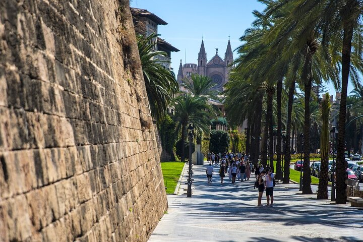 Private Shore Excursion to Valldemossa and Palma de Mallorca
