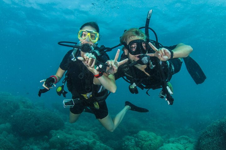 Try Scuba Diving Experience in Fujairah