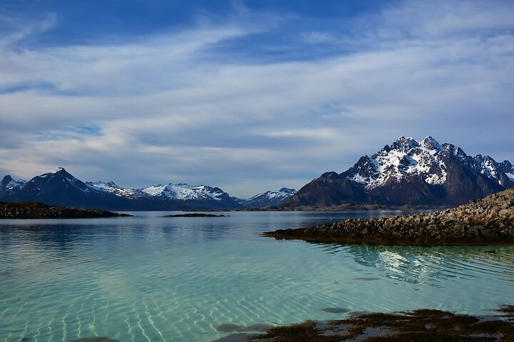 Lofoten RIB Sea Eagle Safari and Trollfjord Cruise