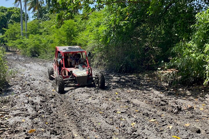 Half-Day Buggy Guided Adventure for Amber Cove and Taino Bay