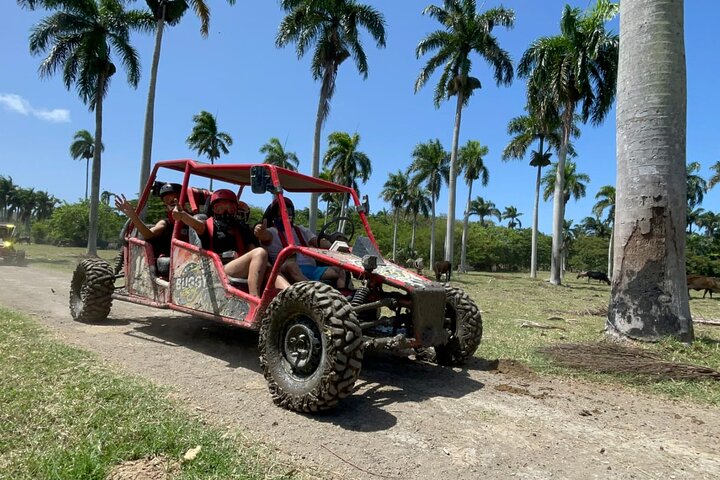 Half-Day Buggy Guided Adventure for Amber Cove and Taino Bay
