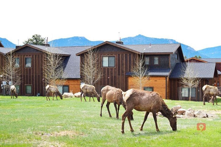 Self-Guided Audio Driving Tour in Rocky Mountain National Park