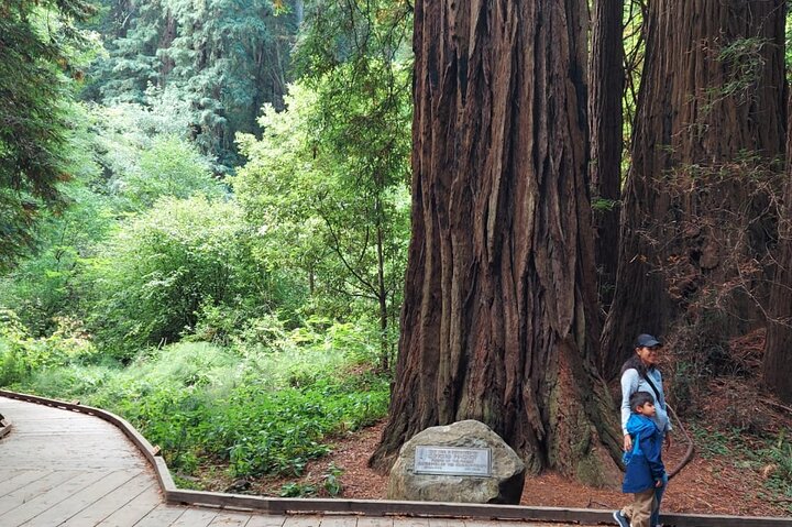 Muir Woods and Sausalito Small Group Tour