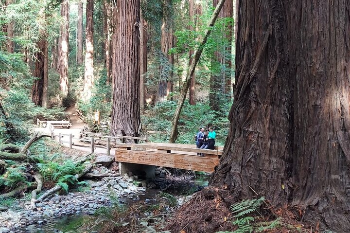 Muir Woods and Sausalito Small Group Tour