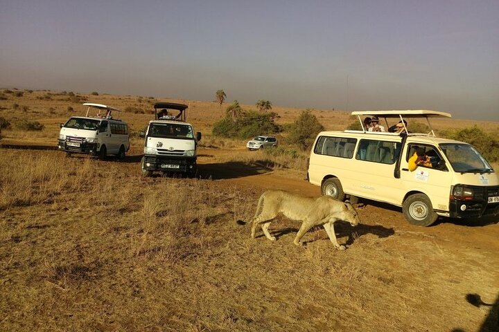 Half Day Guided Tour in Nairobi National Park With 4*4 Vehicle