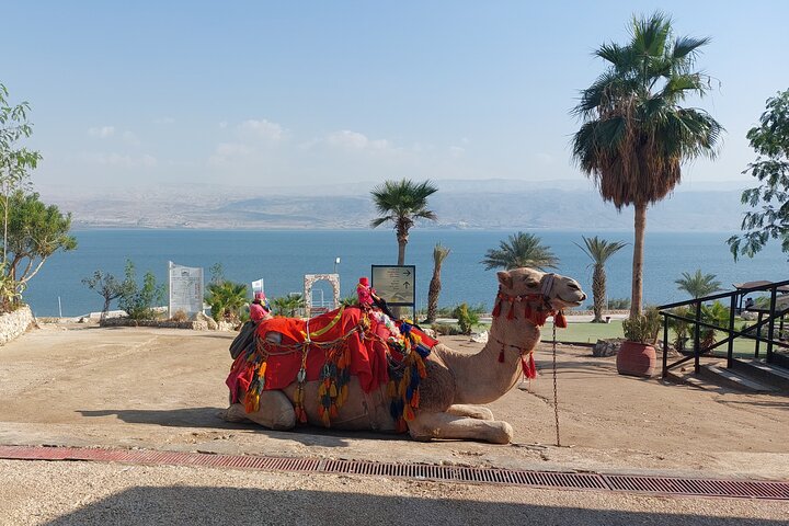 Best of the Holyland in 5 Days - Israel Highlights Private tour