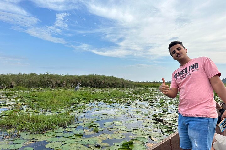 1/2 Mabamba Swamp Shoebill Tour