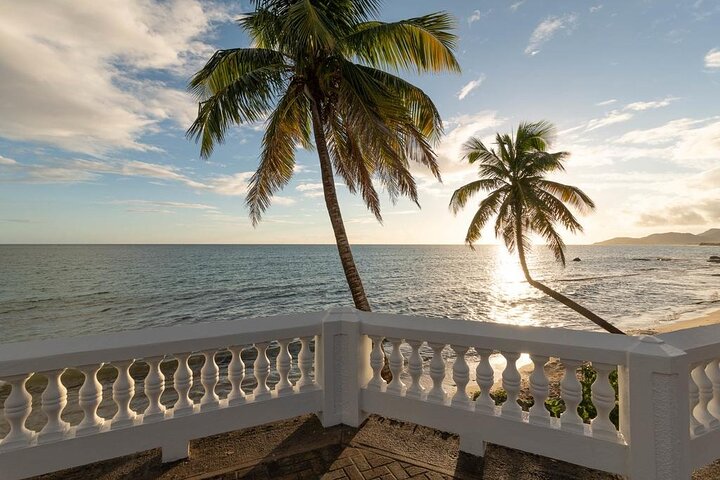 Vieques Bio Bay Tour and Beach Day Trip from San Juan by Ferry