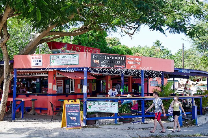 Vieques Bio Bay Tour and Beach Day Trip from San Juan by Ferry