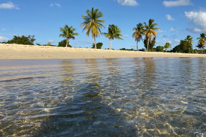Vieques Bio Bay Tour and Beach Day Trip from San Juan by Ferry
