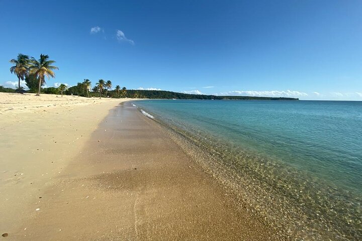 Vieques Bio Bay Tour and Beach Day Trip from San Juan by Ferry