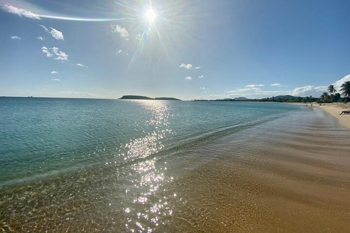 Vieques Bio Bay Tour and Beach Day Trip from San Juan by Ferry