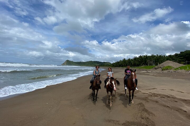 Jungle and Beach Horseback Riding Tour - 2H 1/2