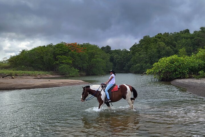 Jungle and Beach Horseback Riding Tour - 2H 1/2