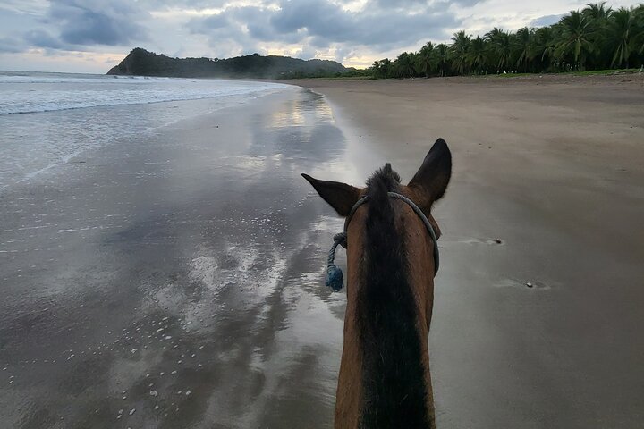 Jungle and Beach Horseback Riding Tour - 2H 1/2