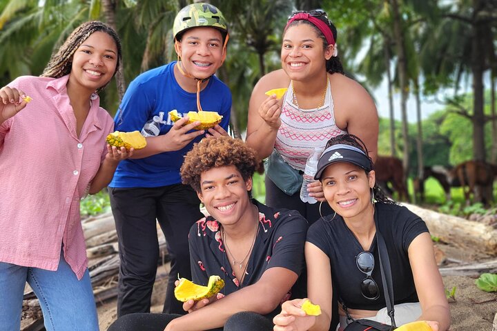 Jungle and Beach Horseback Riding Tour - 2H 1/2