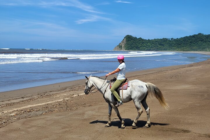 Jungle and Beach Horseback Riding Tour - 2H 1/2
