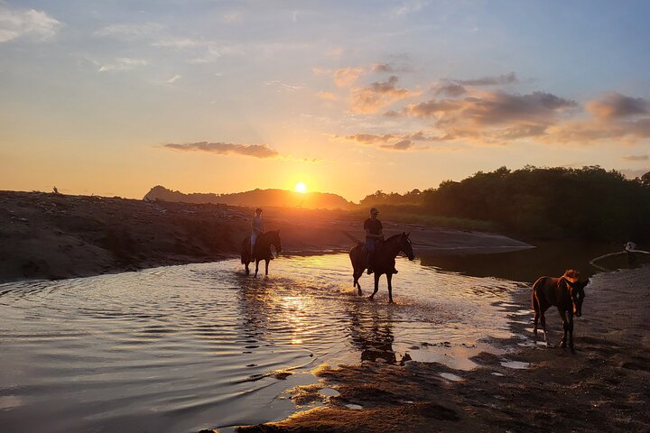 Jungle and Beach Horseback Riding Tour - 2H 1/2