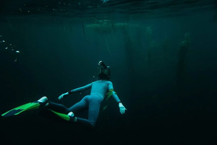 Redang Night Snorkeling Trip (Private Tour)