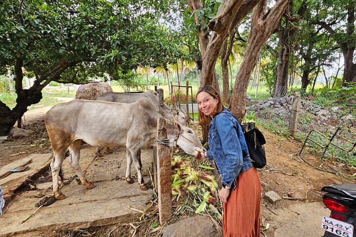 (Mysuru) Mysore Day Out - A Royal Experience Private Tour from Bangalore