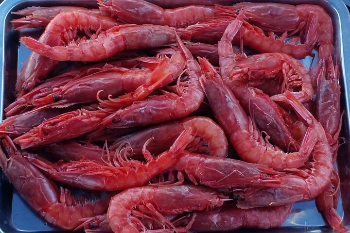 Sailing tour with PAG (AUDIOGUIDE) and typical Sardinian cuisine