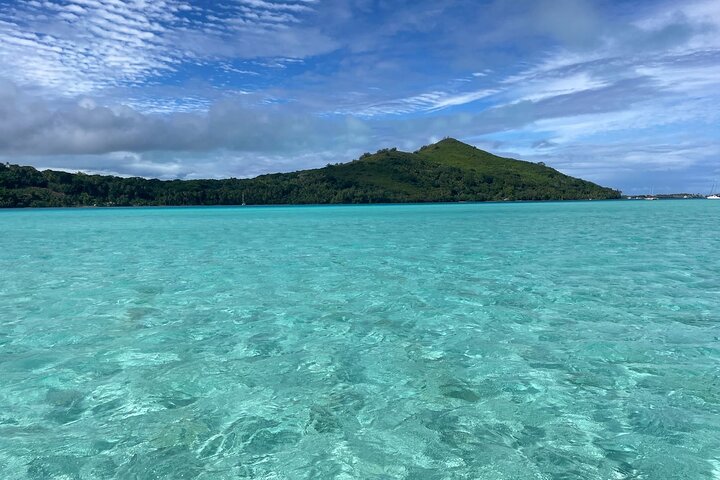 Half day lagoon safari tour in Bora Bora- Shared tour