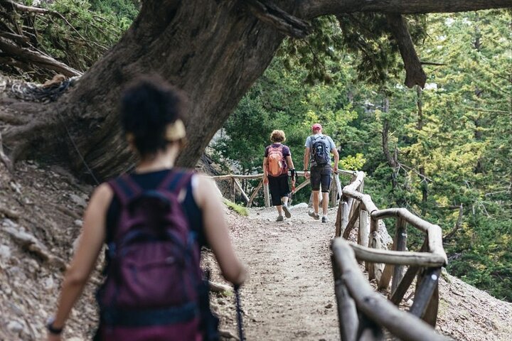 Crete : Samaria Easy way Gorge from Sfakia with Private Transfer