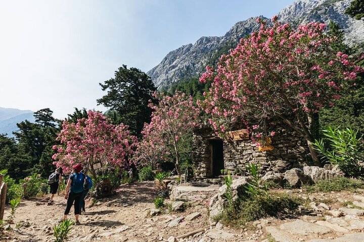 Crete : Samaria Easy way Gorge from Sfakia with Private Transfer