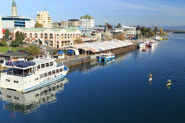 Navigation Through The Isla Teja in Valdivia