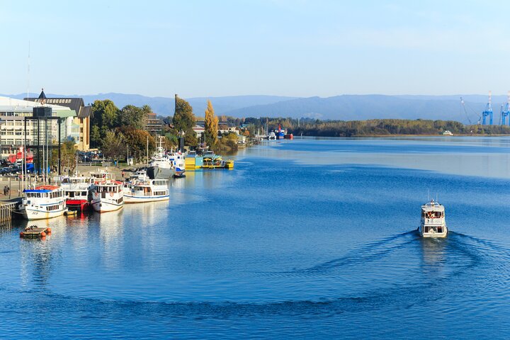Navigation Through The Isla Teja in Valdivia
