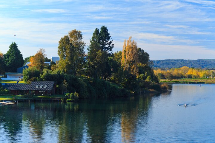 Sightseeing Tour in Valdivia