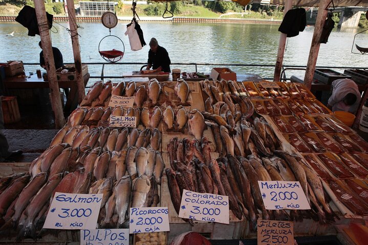 Sightseeing Tour in Valdivia