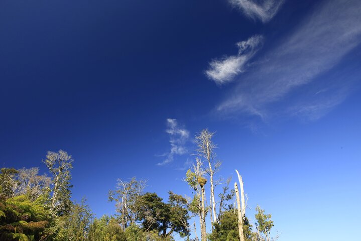 Full Day Chaihuin and Corral Coastal Route in Valdivia