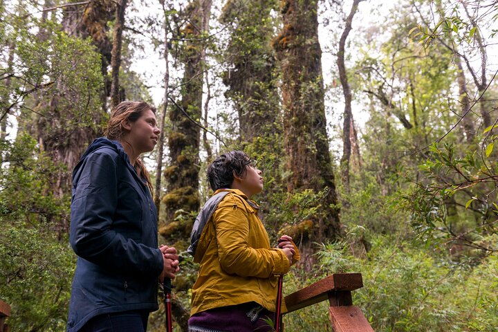 Full Day Chaihuin and Corral Coastal Route in Valdivia