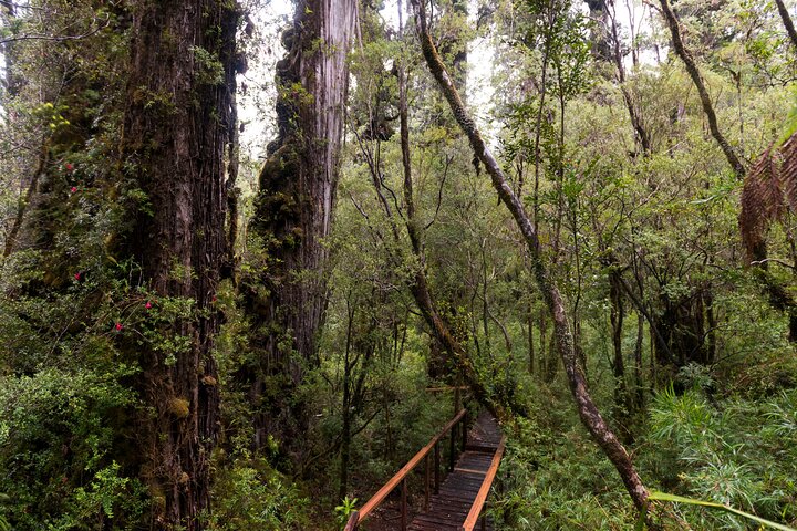 Full Day Chaihuin and Corral Coastal Route in Valdivia