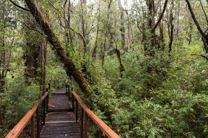 Full Day Chaihuin and Corral Coastal Route in Valdivia