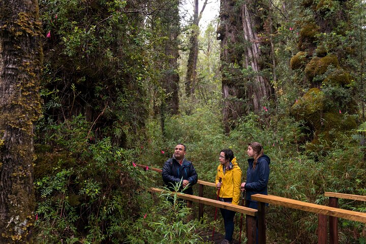 Full Day Chaihuin and Corral Coastal Route in Valdivia